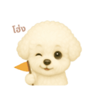 ワンだふる｜ビションフリーゼ【タイ語】（個別スタンプ：9）
