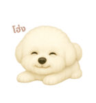 ワンだふる｜ビションフリーゼ【タイ語】（個別スタンプ：10）