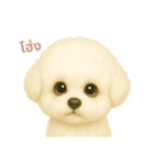 ワンだふる｜ビションフリーゼ【タイ語】（個別スタンプ：13）