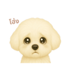 ワンだふる｜ビションフリーゼ【タイ語】（個別スタンプ：14）