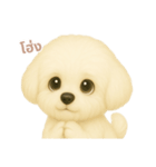 ワンだふる｜ビションフリーゼ【タイ語】（個別スタンプ：15）
