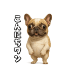 キモブサカワ5(フレンチブルドック)（個別スタンプ：3）