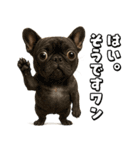 キモブサカワ5(フレンチブルドック)（個別スタンプ：5）