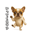 キモブサカワ5(フレンチブルドック)（個別スタンプ：8）
