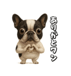 キモブサカワ5(フレンチブルドック)（個別スタンプ：11）