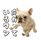 キモブサカワ5(フレンチブルドック)（個別スタンプ：12）
