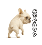 キモブサカワ5(フレンチブルドック)（個別スタンプ：15）