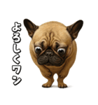 キモブサカワ5(フレンチブルドック)（個別スタンプ：17）