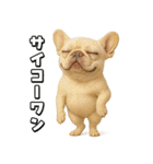 キモブサカワ5(フレンチブルドック)（個別スタンプ：19）