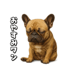 キモブサカワ5(フレンチブルドック)（個別スタンプ：20）