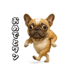 キモブサカワ5(フレンチブルドック)（個別スタンプ：23）