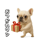 キモブサカワ5(フレンチブルドック)（個別スタンプ：25）