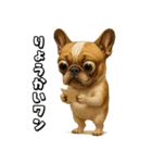 キモブサカワ5(フレンチブルドック)（個別スタンプ：37）