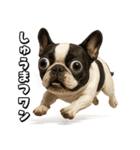 キモブサカワ5(フレンチブルドック)（個別スタンプ：40）