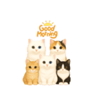 毎日可愛い猫ちゃんたちと一緒のスタンプ（個別スタンプ：5）