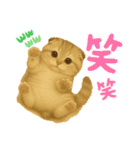 毎日可愛い猫ちゃんたちと一緒のスタンプ（個別スタンプ：9）