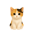 毎日可愛い猫ちゃんたちと一緒のスタンプ（個別スタンプ：25）