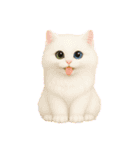毎日可愛い猫ちゃんたちと一緒のスタンプ（個別スタンプ：28）