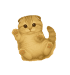 毎日可愛い猫ちゃんたちと一緒のスタンプ（個別スタンプ：29）