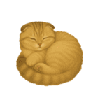毎日可愛い猫ちゃんたちと一緒のスタンプ（個別スタンプ：30）
