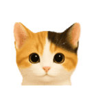 毎日可愛い猫ちゃんたちと一緒のスタンプ（個別スタンプ：31）