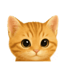 毎日可愛い猫ちゃんたちと一緒のスタンプ（個別スタンプ：32）