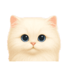 毎日可愛い猫ちゃんたちと一緒のスタンプ（個別スタンプ：34）