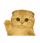 毎日可愛い猫ちゃんたちと一緒のスタンプ（個別スタンプ：36）