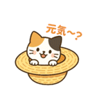 収まりネコ、丸まりネコ 夏（個別スタンプ：1）