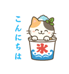 収まりネコ、丸まりネコ 夏（個別スタンプ：3）