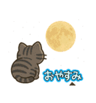 収まりネコ、丸まりネコ 夏（個別スタンプ：26）