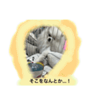 わたしはえる・ポメラニアン・豪華版（個別スタンプ：16）