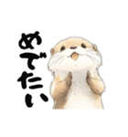 動く！かわうそと海の仲間たち（個別スタンプ：5）