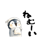 動く！かわうそと海の仲間たち（個別スタンプ：8）