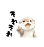 動く！かわうそと海の仲間たち（個別スタンプ：13）