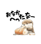 動く！かわうそと海の仲間たち（個別スタンプ：16）