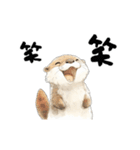 動く！かわうそと海の仲間たち（個別スタンプ：17）