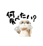動く！かわうそと海の仲間たち（個別スタンプ：20）