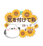 シマエナガ/メッセージ花束/夏のひまわり4（個別スタンプ：20）
