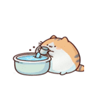 お風呂猫 スイカを食べる,（個別スタンプ：15）