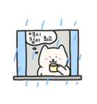 しろいわんこCleverのなつたび（個別スタンプ：19）
