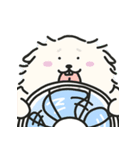 しろいわんこCleverのなつたび（個別スタンプ：22）