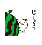 しゅごいトリ（1）（個別スタンプ：13）