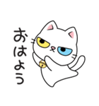 もち 猫（個別スタンプ：1）