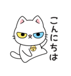 もち 猫（個別スタンプ：2）