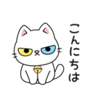 もち 猫（個別スタンプ：5）