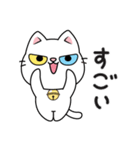 もち 猫（個別スタンプ：8）