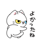 もち 猫（個別スタンプ：11）