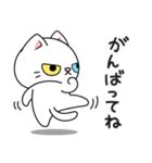もち 猫（個別スタンプ：12）