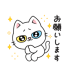 もち 猫（個別スタンプ：13）